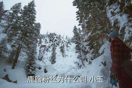 斗魚(yú)主播??小玉資料,成龍的侄女是個(gè)中國(guó)古雅小女孩...